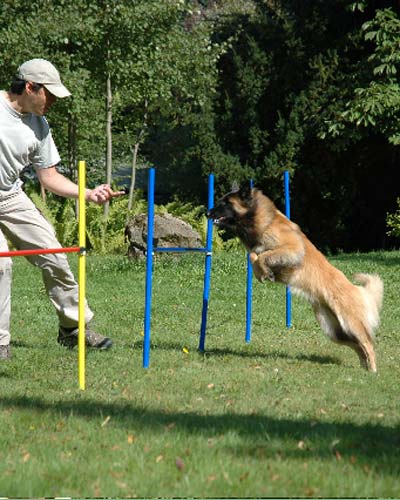 Urlaub mit Hund im Bayerischen Wald